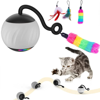 ATUBAN Smart Cat Ball Toy